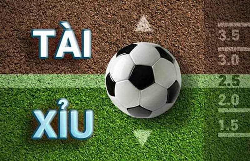 Cách để đọc một vài kèo tài xỉu đang phổ biến