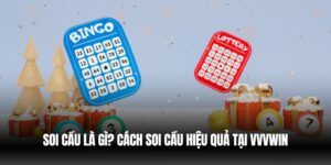 soi cau la gi
